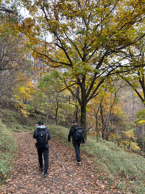 誘われて大菩薩嶺(自分は車中泊😆) 大菩薩嶺 ソロキャンプ グループキャンプ Genさんのキャンプブログ CAMPiii（キャンピー） -キャンプ専用SNS キャンプのすべてがここに集まる-