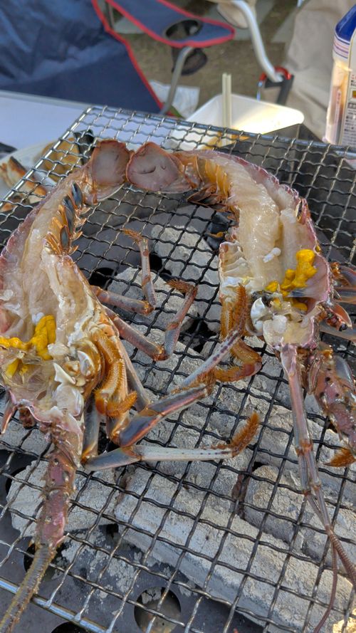 ハスラーが気になる(標高 約150m)(RVパーク(区画、電源付) 3000円)) RVパーク 七里川 ソロキャンプ グループキャンプ オートサイト 区画サイト IZUIZUさんのキャンプブログ CAMPiii（キャンピー） -キャンプ専用SNS キャンプのすべてがここに集まる-