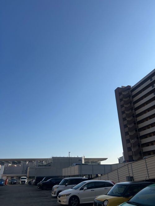 花見キャンプのはずなのに🤔 伊豆キャンパーズヴィレッジ ソロキャンプ フリーサイト Genさんのキャンプブログ CAMPiii（キャンピー） -キャンプ専用SNS キャンプのすべてがここに集まる-