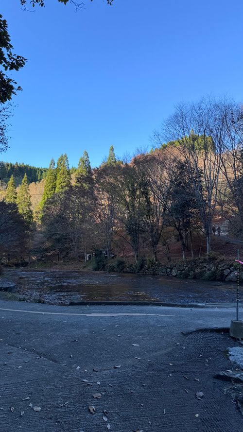 1122による紅葉キャンプ🍁 遊水峡 ファミリーキャンプ 区画サイト オートサイト はるかさんのキャンプブログ CAMPiii（キャンピー） -キャンプ専用SNS キャンプのすべてがここに集まる-