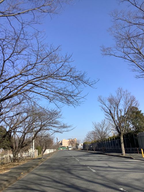 Vol.111 26/NO.01 新年1発目はココで‼️ 坂戸市 ソロキャンプ フリーサイト 🔥焚き火🔥さんのキャンプブログ CAMPiii（キャンピー） -キャンプ専用SNS キャンプのすべてがここに集まる-