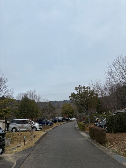 2026年4回目、桜開花直前キャン🌸 憩いの森公園 ファミリーキャンプ 区画サイト オートサイト わいげさんのキャンプブログ CAMPiii（キャンピー） -キャンプ専用SNS キャンプのすべてがここに集まる-