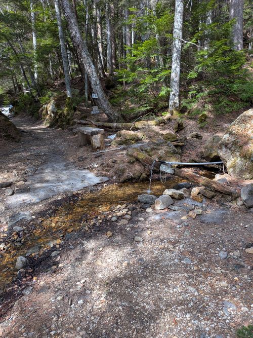 ちくいち (標高約1200m)(オートフリーサイト4500円) 内山牧場 ソロキャンプ グループキャンプ フリーサイト オートサイト IZUIZUさんのキャンプブログ CAMPiii（キャンピー） -キャンプ専用SNS キャンプのすべてがここに集まる-