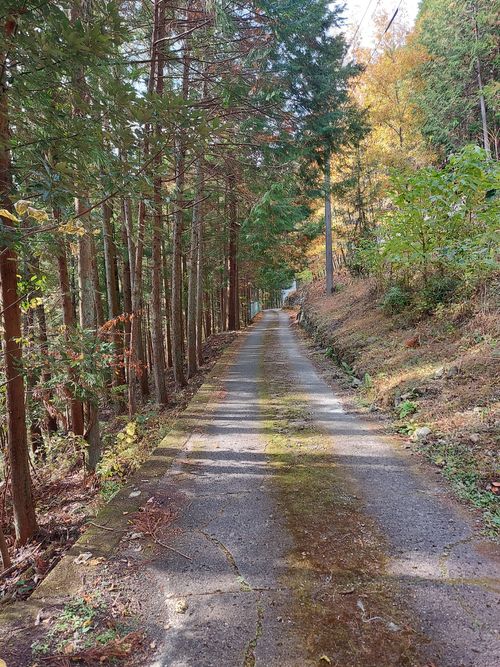 鹿岳辺りの紅葉🍁 One and…Nanmoku Another BASE ソロキャンプ 区画サイト ひろ16さんのキャンプブログ CAMPiii（キャンピー） -キャンプ専用SNS キャンプのすべてがここに集まる-