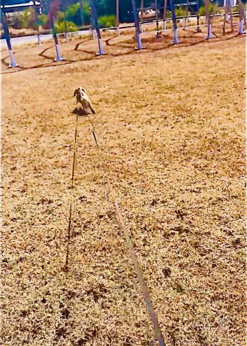 イライラした時は&hellip;やっぱり？リフレッシュおじうさキャン△ in 阿川ほうせんぐり海浜公園 〜 CAMP NO.177 阿川ほうせんぐり海浜公園 ソロキャンプ ファミリーキャンプ フリーサイト おじキャン△さんのキャンプブログ CAMPiii（キャンピー） -キャンプ専用SNS キャンプのすべてがここに集まる-