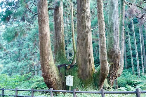 ふっふっふっ来てしまった！！ 都万野営場 ソロキャンプ けんじさんのキャンプブログ CAMPiii（キャンピー） -キャンプ専用SNS キャンプのすべてがここに集まる-