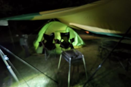 神割崎、海を眺め、タコを噛みしめ、ウニを頬張る🐙✨ 神割崎キャンプ場 ファミリーキャンプ オートサイト JGNさんのキャンプブログ CAMPiii（キャンピー） -キャンプ専用SNS キャンプのすべてがここに集まる-