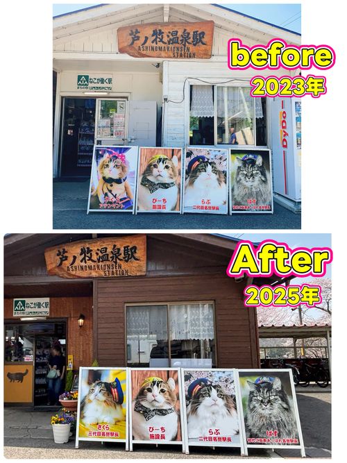 もう雪景色はおなかいっぱい&hellip;なので、現実逃避【備忘録】 エンゼルフォレスト那須白河｜ペットと泊まれる宿 Oniyomeさんのキャンプブログ CAMPiii（キャンピー） -キャンプ専用SNS キャンプのすべてがここに集まる-