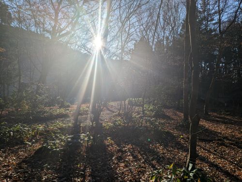 薪ストーブ Chillax Garden CAMP.024 チラックスガーデン ソロキャンプ フリーサイト クラゲRさんのキャンプブログ CAMPiii（キャンピー） -キャンプ専用SNS キャンプのすべてがここに集まる-