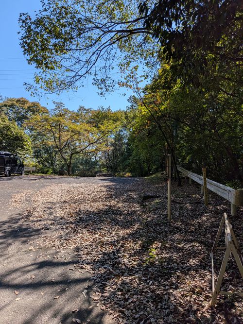 ラーショにネギは要らない ともえ川Park ソロキャンプ オートサイト IZUIZUさんのキャンプブログ CAMPiii（キャンピー） -キャンプ専用SNS キャンプのすべてがここに集まる-