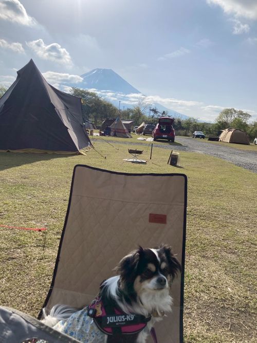 富士山キャンプと新倉浅間公園 朝霧Camp Base そらいろキャンプ場（フリーサイト・区画サイト・電源区画サイト） ファミリーキャンプ フリーサイト Kojiさんのキャンプブログ CAMPiii（キャンピー） -キャンプ専用SNS キャンプのすべてがここに集まる-