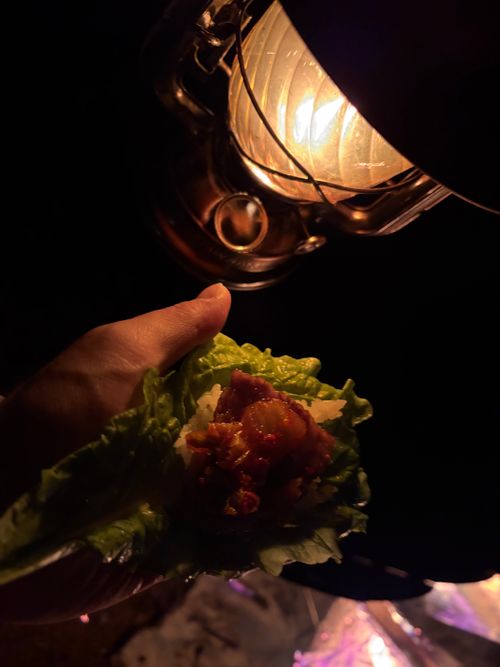 初のフリーサイト！＆グリーン龍ケ崎 ＆GREEN龍ケ崎キャンプ場 ソロキャンプ 区画サイト フリーサイト ぺちゃさんのキャンプブログ CAMPiii（キャンピー） -キャンプ専用SNS キャンプのすべてがここに集まる-