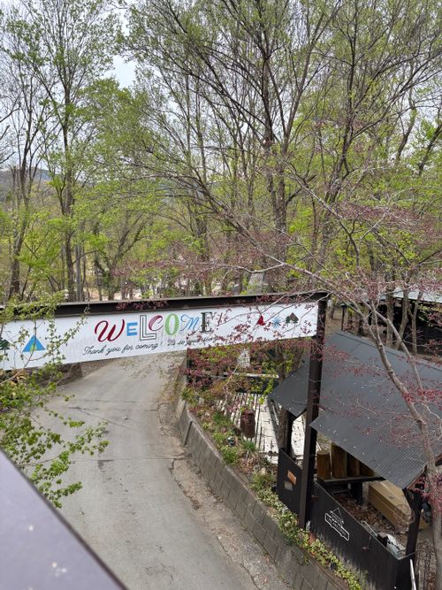 桜と菜の花と長瀞 長瀞オートキャンプ場 ファミリーキャンプ 区画サイト aozoraさんのキャンプブログ CAMPiii（キャンピー） -キャンプ専用SNS キャンプのすべてがここに集まる-