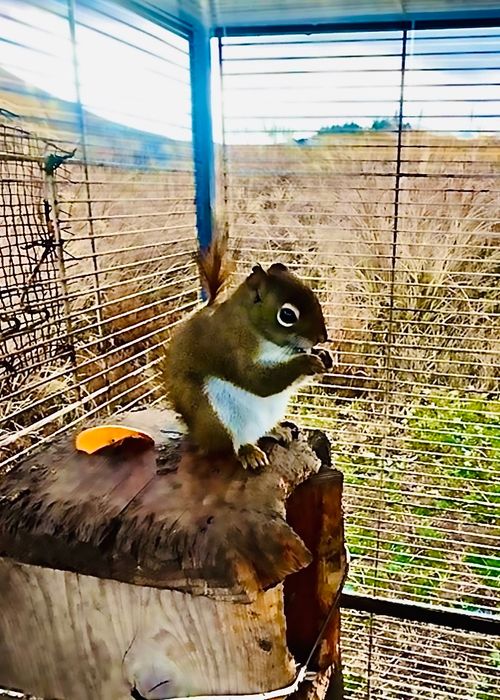 天国と地獄！？ 聖なる夜を愉しむおじおばうさキャン△ in グランヴェルデリゾート 〜 CAMP NO.168 GRAND VERDE RESORT ファミリーキャンプ グループキャンプ フリーサイト おじキャン△さんのキャンプブログ CAMPiii（キャンピー） -キャンプ専用SNS キャンプのすべてがここに集まる-