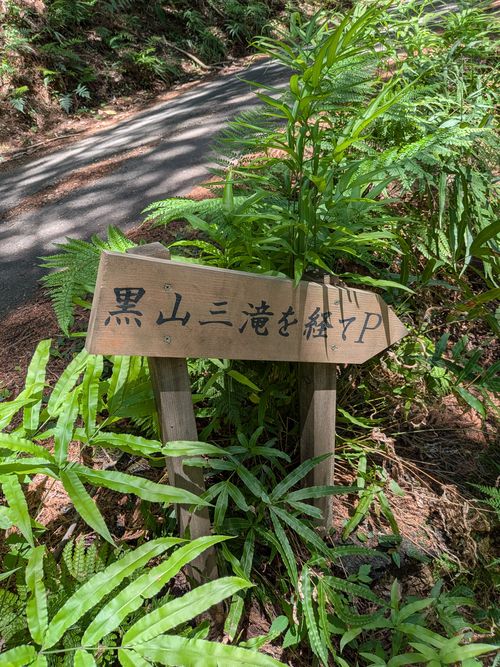 オークス、ダービー 取れなかった (ТoТ) ともえ川Park ソロキャンプ グループキャンプ 区画サイト フリーサイト オートサイト IZUIZUさんのキャンプブログ CAMPiii（キャンピー） -キャンプ専用SNS キャンプのすべてがここに集まる-