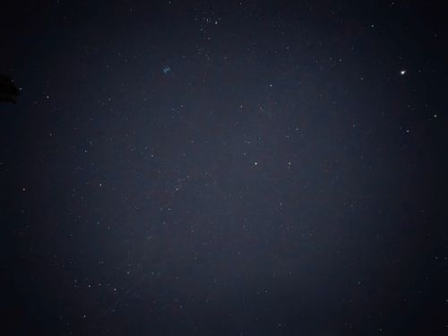 シンシンとした雪の後はニンニンと&hellip; やぶっちゃキャンプ場 ソロキャンプ グループキャンプ オートサイト ぞのさんさんのキャンプブログ CAMPiii（キャンピー） -キャンプ専用SNS キャンプのすべてがここに集まる-