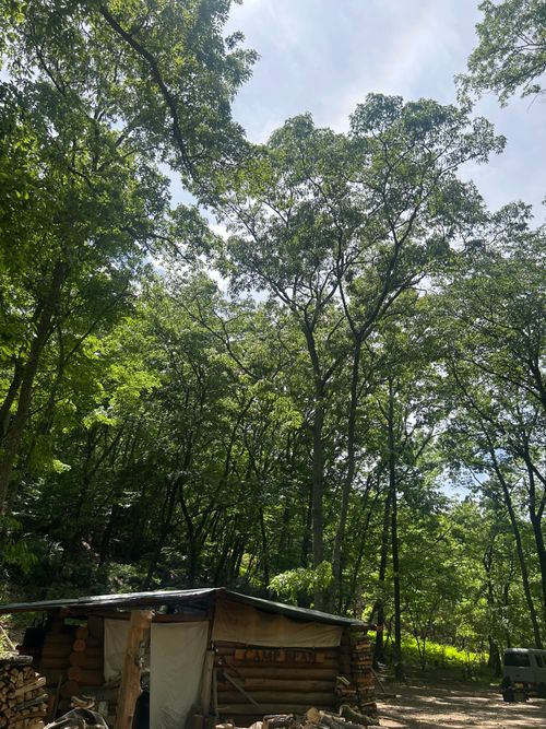 3週連続ソロキャンプ🏕️ CAMP BEAN ソロキャンプ 区画サイト Genさんのキャンプブログ CAMPiii（キャンピー） -キャンプ専用SNS キャンプのすべてがここに集まる-