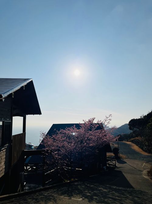 南伊豆夕日ヶ丘キャンプ場で✨✨✨✨念願のプレミアムデッキサイト満喫✨✨✨✨ 南伊豆夕日ヶ丘キャンプ場 ファミリーキャンプ 区画サイト Izumiさんのキャンプブログ CAMPiii（キャンピー） -キャンプ専用SNS キャンプのすべてがここに集まる-