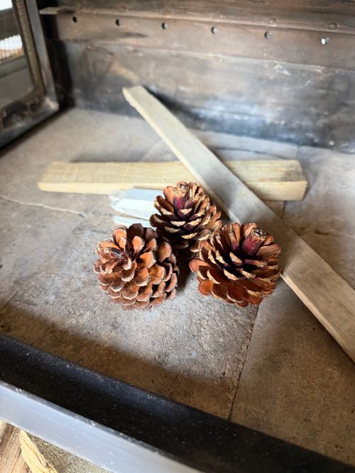 花粉症炸裂キャンプ🤧🏕 TASTE HOUSE ZEN ファミリーキャンプ フリーサイト ぐうたら夫婦さんのキャンプブログ CAMPiii（キャンピー） -キャンプ専用SNS キャンプのすべてがここに集まる-