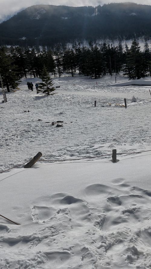 BONCHI 秩父市 グループキャンプ 区画サイト オートサイト IZUIZUさんのキャンプブログ CAMPiii（キャンピー） -キャンプ専用SNS キャンプのすべてがここに集まる-