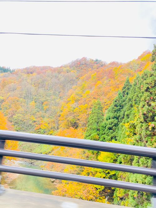 CAMPiii（キャンピー） 範馬勇次郎さんのキャンプブログ 再訪 とことん山キャンプ場