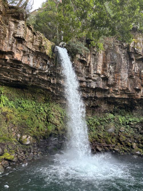 中伊豆へ！ LScamp中伊豆 ソロキャンプ オートサイト 区画サイト marpyさんのキャンプブログ CAMPiii（キャンピー） -キャンプ専用SNS キャンプのすべてがここに集まる-