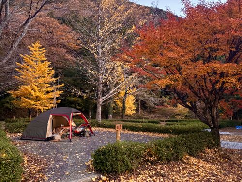 ①季節外れのUNAGI とDONABEで米を炊く🌾 ②ボージョレ・ヌーボー解禁日🍷にキャンプ🏕️ ③4年前と同じ場所で紅葉狩り🍁 大久保キャンプ場 ソロキャンプ 区画サイト waccy0441さんのキャンプブログ CAMPiii（キャンピー） -キャンプ専用SNS キャンプのすべてがここに集まる-