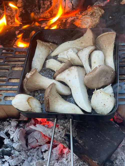 仲間と予定が合わずソロキャンプ ソロキャンプ フリーサイト おぐらーさんのキャンプブログ CAMPiii（キャンピー） -キャンプ専用SNS キャンプのすべてがここに集まる-