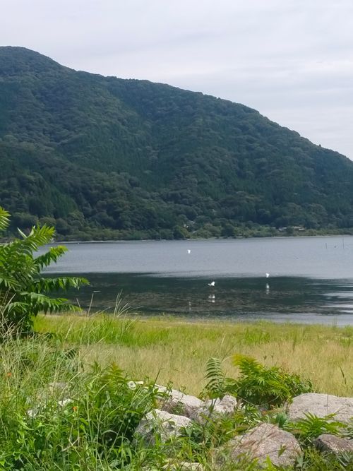 まーきの 高木浜オートキャンプ場 ソロキャンプ 区画サイト おっとまんSさんのキャンプブログ CAMPiii（キャンピー） -キャンプ専用SNS キャンプのすべてがここに集まる-
