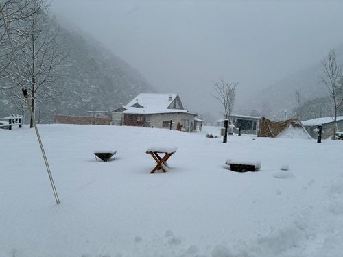 妻の読みは素晴らしい！友人家族と2026年キャンプ初め♪ 鮎の里公園キャンプ場 ファミリーキャンプ グループキャンプ 区画サイト Como_outdoorさんのキャンプブログ CAMPiii（キャンピー） -キャンプ専用SNS キャンプのすべてがここに集まる-