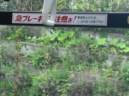 塔ノ岳ピストンアタック🥾 塔ノ岳 ソロキャンプ Genさんのキャンプブログ CAMPiii（キャンピー） -キャンプ専用SNS キャンプのすべてがここに集まる-