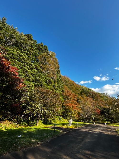紅葉の便りに誘われて岩手遠征してみた 道の駅 雫石あねっこ ソロキャンプ 区画サイト 病弱なボッチキャンパーさんのキャンプブログ CAMPiii（キャンピー） -キャンプ専用SNS キャンプのすべてがここに集まる-