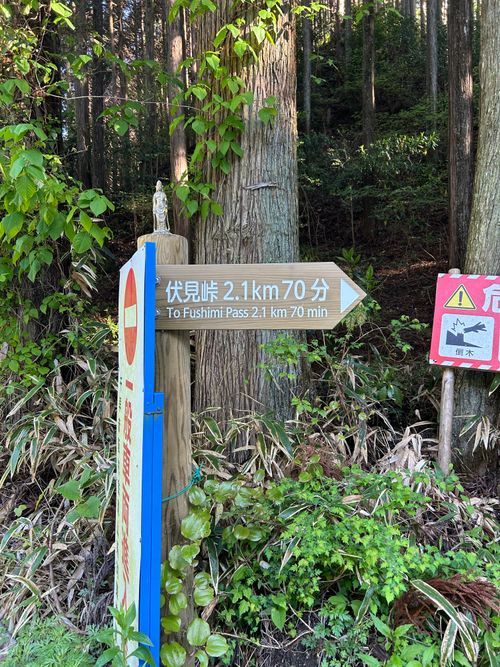 登山デビュー(テント泊付き) 金剛山 ソロキャンプ 区画サイト △kuuga△さんのキャンプブログ CAMPiii（キャンピー） -キャンプ専用SNS キャンプのすべてがここに集まる-