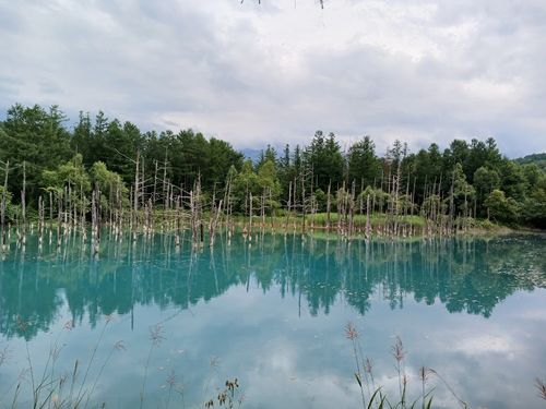 北海道の旨い!を食べるC△mp旅’ 2025(1 of 4) 北海道 ファミリーキャンプ キャンピングカー vios outdoor'sさんのキャンプブログ CAMPiii(キャンピー) -キャンプ専用SNS キャンプのすべてがここに集まる-