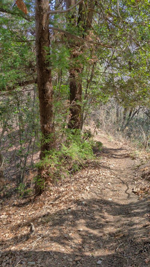 山散歩キャンプ ともえ川Park グループキャンプ 区画サイト オートサイト IZUIZUさんのキャンプブログ CAMPiii（キャンピー） -キャンプ専用SNS キャンプのすべてがここに集まる-