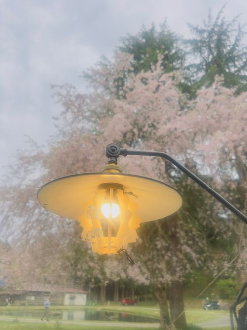 贖罪キャンプ🏕️相方のご機嫌とらないと😱 リバーランズ角川 グループキャンプ skitさんのキャンプブログ CAMPiii（キャンピー） -キャンプ専用SNS キャンプのすべてがここに集まる-