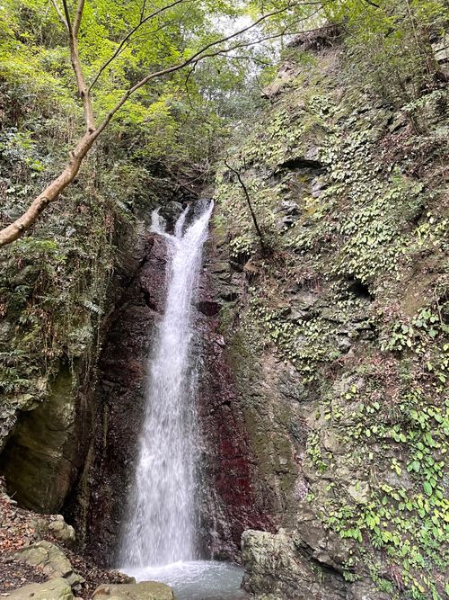 冬キャンプらしくなってきた。 三野農村ふれあい広場 ソロキャンプ グループキャンプ フリーサイト ゆうさんさんのキャンプブログ CAMPiii（キャンピー） -キャンプ専用SNS キャンプのすべてがここに集まる-