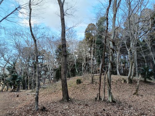 CAMPiii（キャンピー） Kazu Aさんのキャンプブログ 近所で みんなの里山キャンプ場