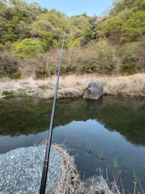 青根キャンプ場で初の釣り！ 青根キャンプ場 ソロキャンプ フリーサイト オートサイト ぺちゃさんのキャンプブログ CAMPiii（キャンピー） -キャンプ専用SNS キャンプのすべてがここに集まる-