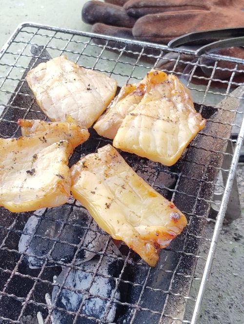 海サップ 孫太郎オートキャンプ場 グループキャンプ 区画サイト しずさんのキャンプブログ CAMPiii(キャンピー) -キャンプ専用SNS キャンプのすべてがここに集まる-