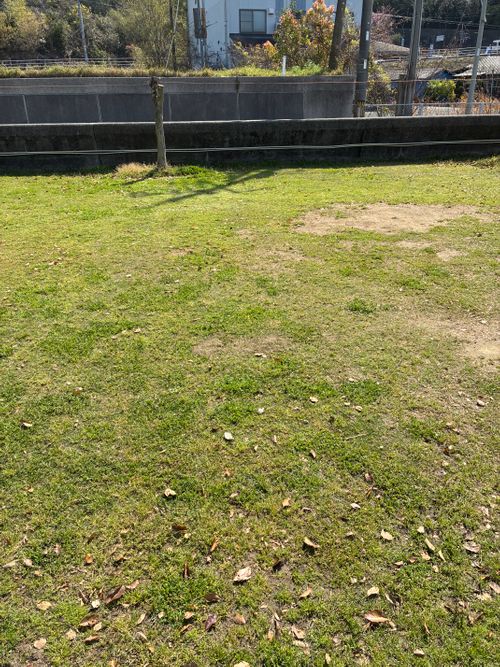 2026年5回目、イルカキャン🐬 ドルフィンファームしまなみ ファミリーキャンプ 区画サイト オートサイト わいげさんのキャンプブログ CAMPiii（キャンピー） -キャンプ専用SNS キャンプのすべてがここに集まる-