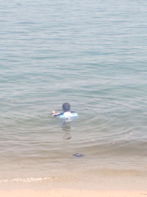 夏休み早よ終わらんかいねぇ&hellip; 片添ケ浜海浜公園 ファミリーキャンプ フリーサイト HARUMAGEDONさんのキャンプブログ CAMPiii（キャンピー） -キャンプ専用SNS キャンプのすべてがここに集まる-