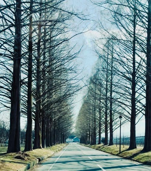 またいつもの場所で 六ツ矢崎浜オートキャンプ場 ファミリーキャンプ オートサイト フリーサイト わらびもちさんのキャンプブログ CAMPiii（キャンピー） -キャンプ専用SNS キャンプのすべてがここに集まる-