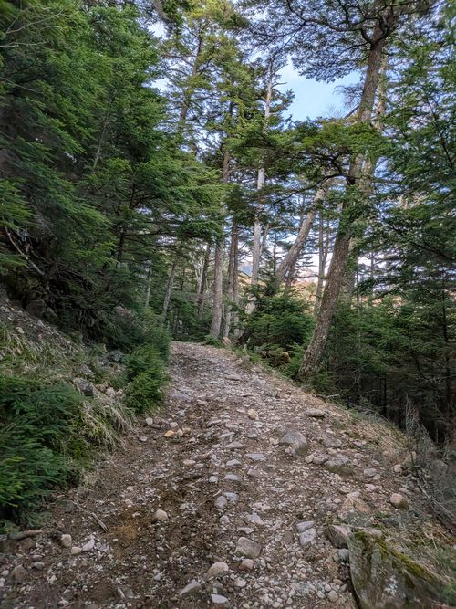 ちくいち (標高約1200m)(オートフリーサイト4500円) 内山牧場 ソロキャンプ グループキャンプ フリーサイト オートサイト IZUIZUさんのキャンプブログ CAMPiii（キャンピー） -キャンプ専用SNS キャンプのすべてがここに集まる-