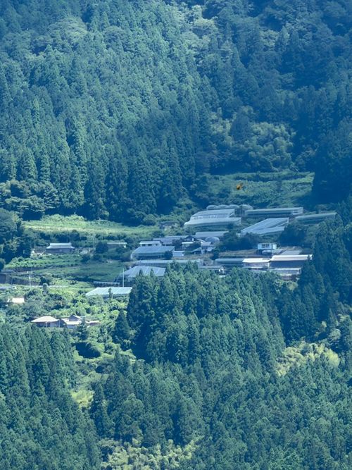 海を超え、ケルティの民となる⛺️〜四国遠征キャンプ1泊目〜 さめうらテントパーク ソロキャンプ グループキャンプ オートサイト ヒゲキャンさんのキャンプブログ CAMPiii（キャンピー） -キャンプ専用SNS キャンプのすべてがここに集まる-