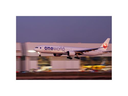 久しぶりのホーム GROVE camping hill ソロキャンプ ファミリーキャンプ グループキャンプ 区画サイト フリーサイト オートサイト ENJOY THE OUTDOORSさんのキャンプブログ CAMPiii（キャンピー） -キャンプ専用SNS キャンプのすべてがここに集まる-