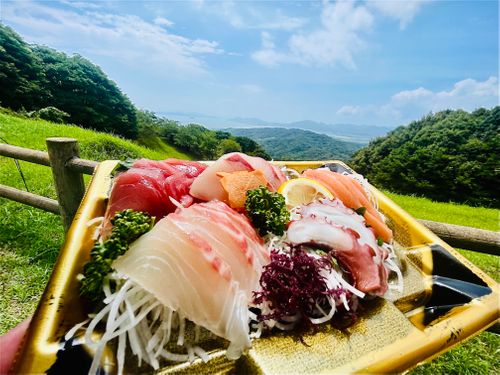 遠くでゆったり眺める花火もいいもんだ💕 おじおばお花火キャン△ in 山陽小野田隠れ家キャンプ場⛺️? 〜 CAMP NO.147 山陽小野田市 ソロキャンプ ファミリーキャンプ グループキャンプ フリーサイト おじキャン△さんのキャンプブログ CAMPiii(キャンピー) -キャンプ専用SNS キャンプのすべてがここに集まる-