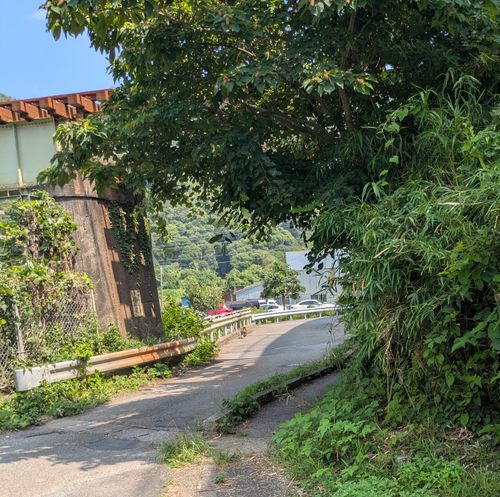 真夏の避暑地？ プラネットキャンプ ソロキャンプ 区画サイト geenさんのキャンプブログ CAMPiii（キャンピー） -キャンプ専用SNS キャンプのすべてがここに集まる-