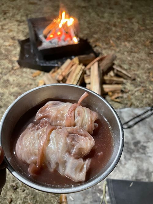 初！車中泊キャンプ ホッ！とステイまんのう ソロキャンプ オートサイト ゆうさんさんのキャンプブログ CAMPiii（キャンピー） -キャンプ専用SNS キャンプのすべてがここに集まる-