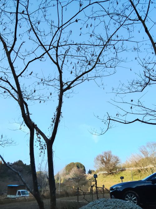 大阪の村 campsite麓 ソロキャンプ フリーサイト おっとまんSさんのキャンプブログ CAMPiii（キャンピー） -キャンプ専用SNS キャンプのすべてがここに集まる-